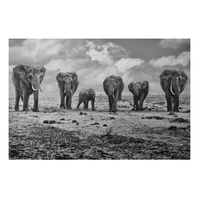 Tavlor elefanter Large Familiy