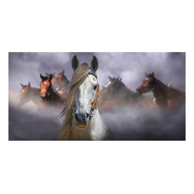 Tavlor hästar Horses in the Dust