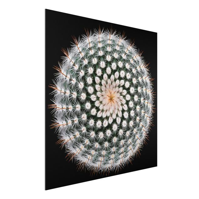 Kök dekoration Cactus Flower