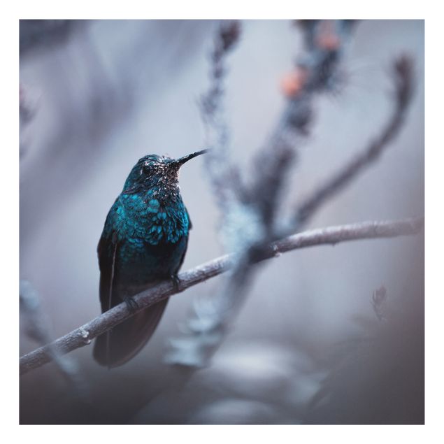Tavlor fjädrar Hummingbird In Winter