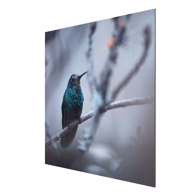 Tavlor modernt Hummingbird In Winter