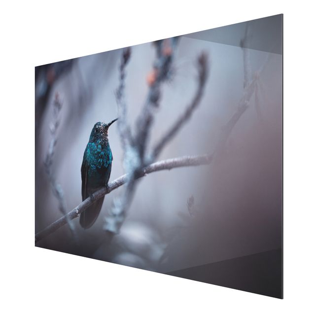 Tavlor modernt Hummingbird In Winter