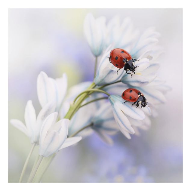 Tavlor blommor Ladybird Couple