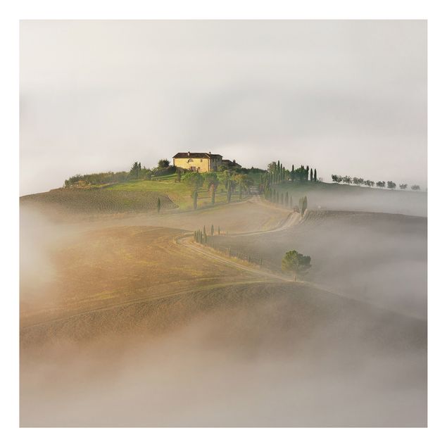 Tavlor Italien Morning Fog In The Tuscany