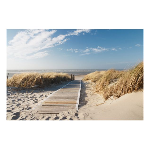 Tavlor landskap Baltic Sea Beach