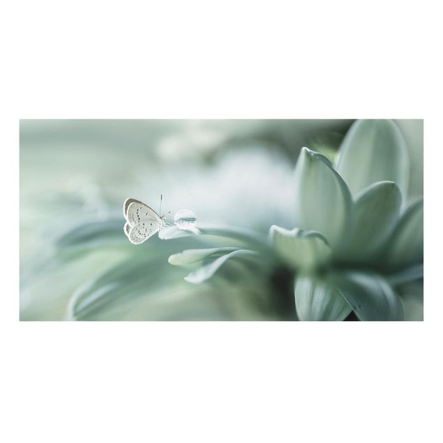 Kök dekoration Butterfly And Dew Drops In Pastel Green