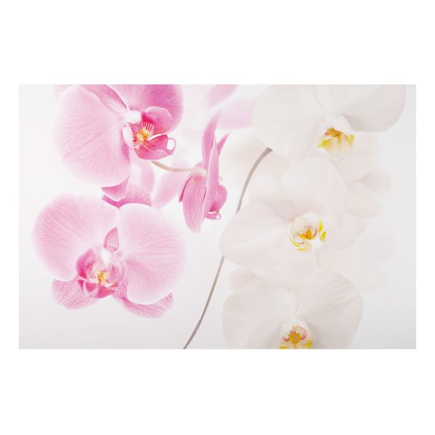 Kök dekoration Delicate Orchids