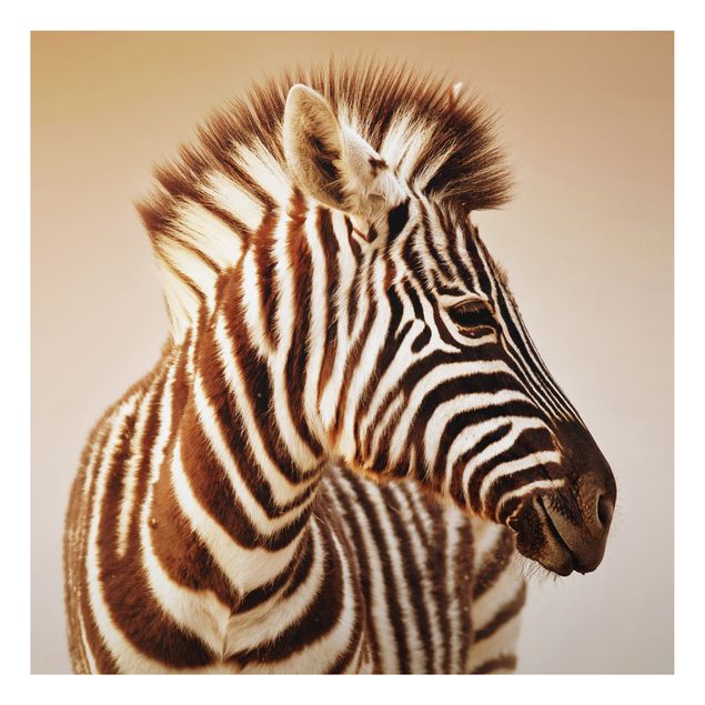Tavlor zebror Zebra Baby Portrait