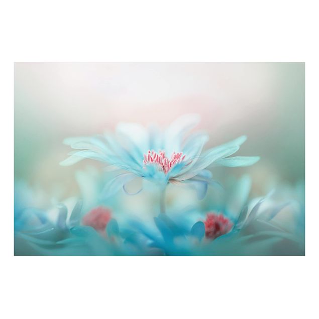 Tavlor blommor Delicate Flowers In Pastel