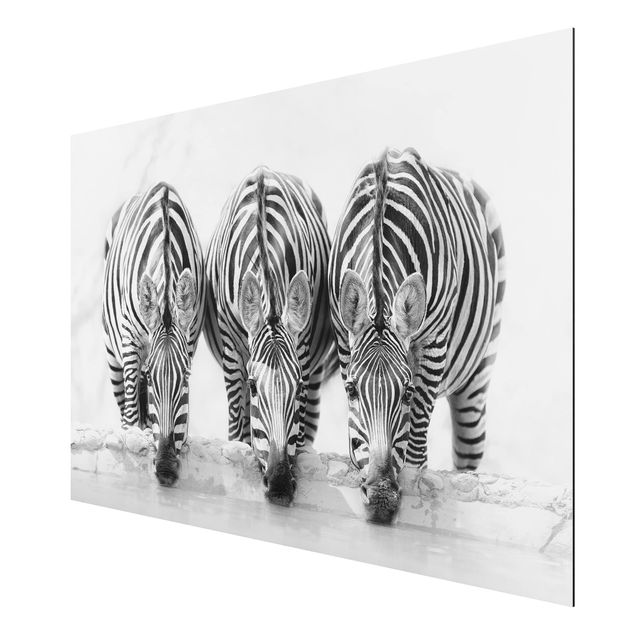 Tavlor modernt Zebra Trio In Black And White