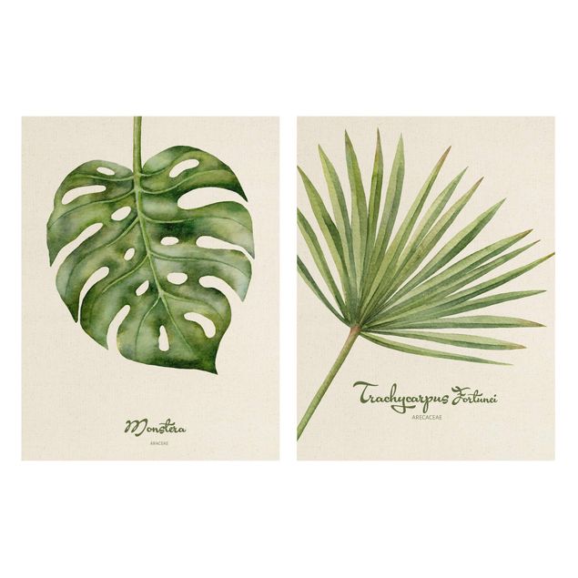 Tavlor Watercolour Botany Duo
