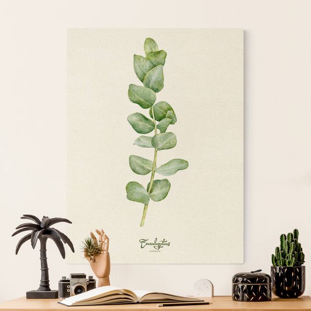 Kök dekoration Watercolour Botany Eucalyptus