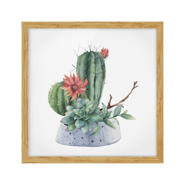 Tavlor blommor  Watercolour Cacti Illustration