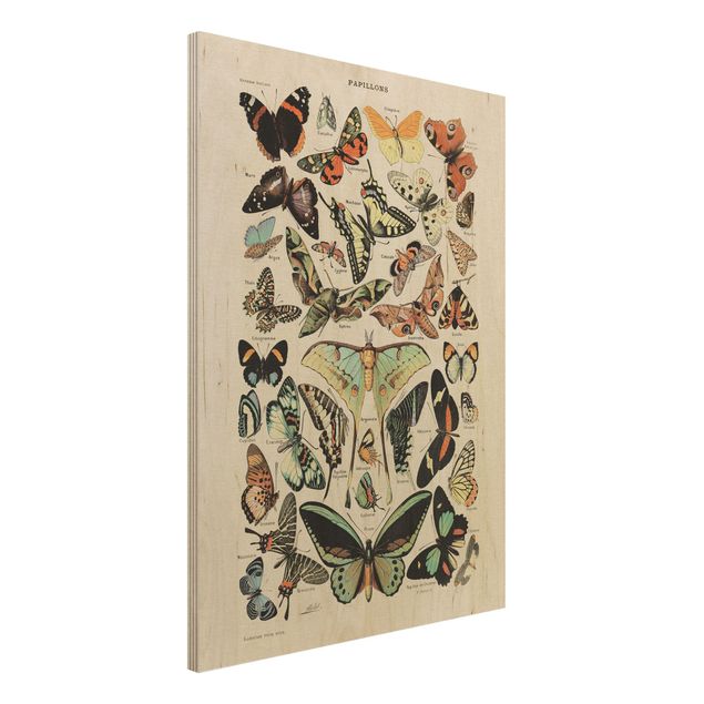 Kök dekoration Vintage Board Butterflies And Moths