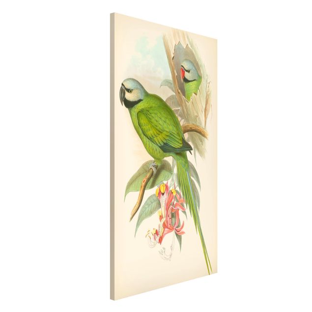 Kök dekoration Vintage Illustration Tropical Birds II