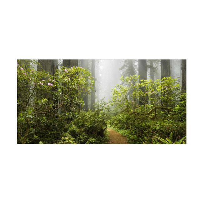 Mattor med skog Misty Forest Path