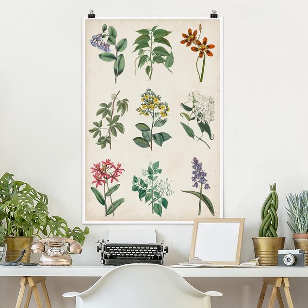 Kök dekoration Botanical Poster I
