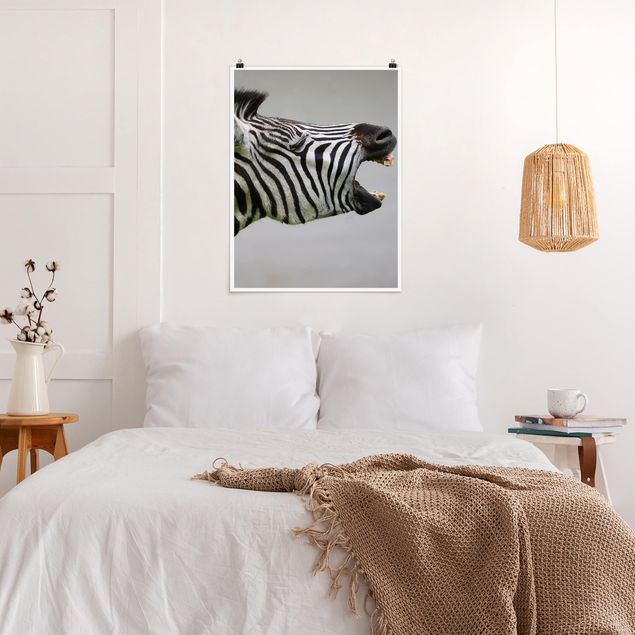 Posters djur Roaring Zebra