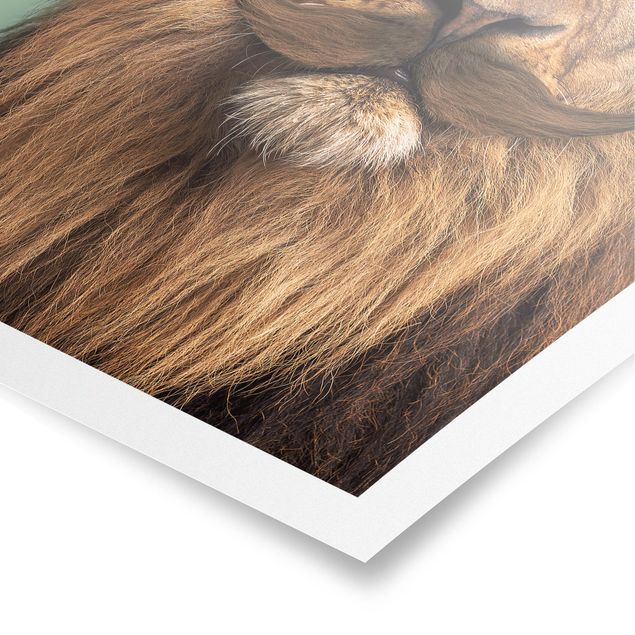 Posters djur Lion With Beard