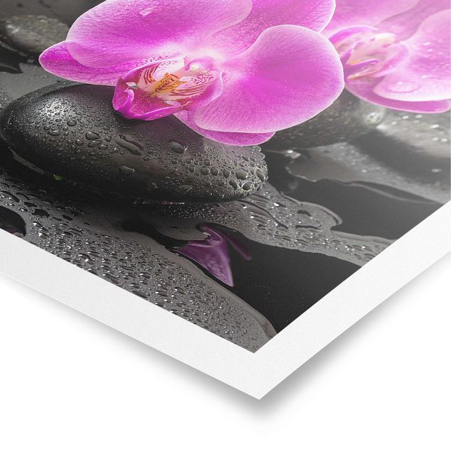 Posters konstutskrifter Pink Orchid Flower On Stones With Drops