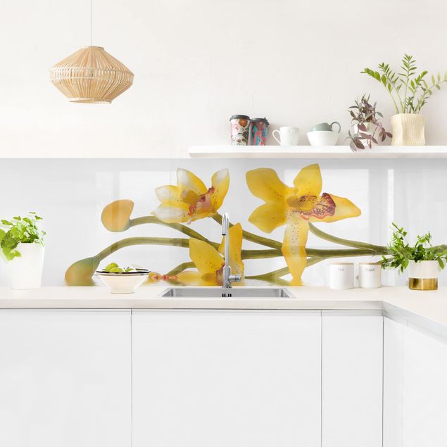 Stänkskydd kök blommor  Saffron Orchid Waters