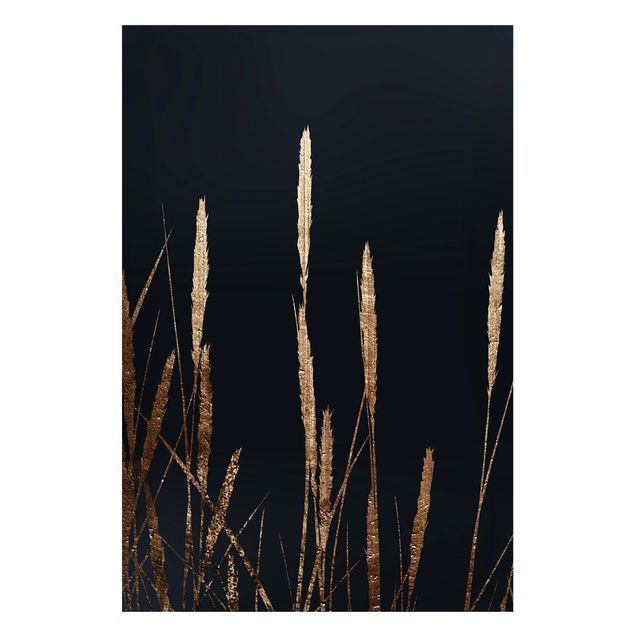 Tavlor fisk Graphical Plant World - Golden Reed