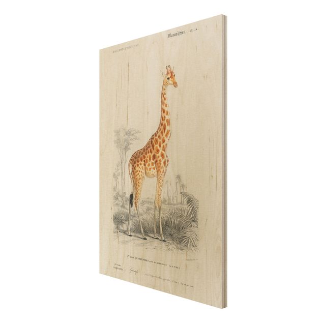 Tavlor Vintage Board Giraffe