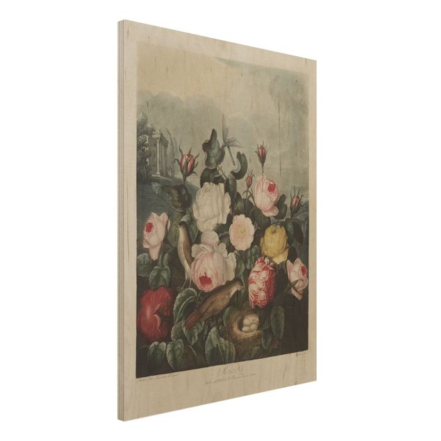 Kök dekoration Botany Vintage Illustration Of Roses