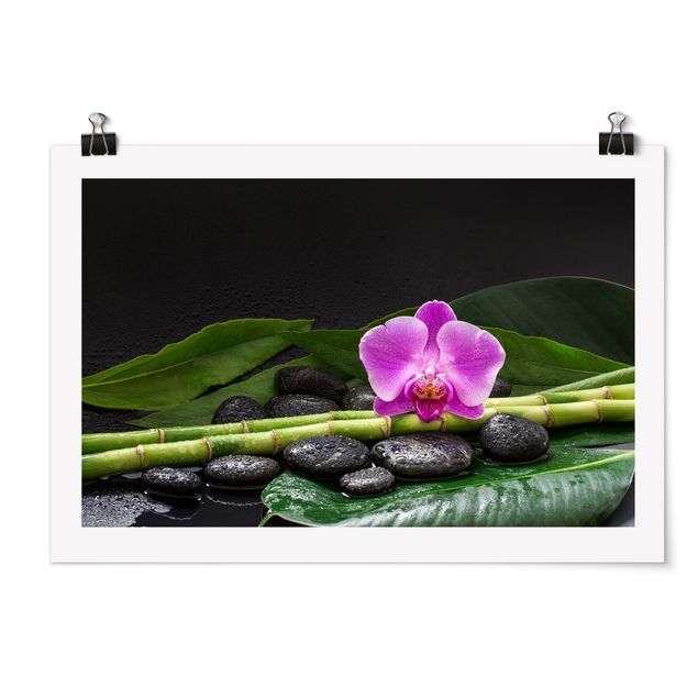 Posters blommor  Green Bamboo With Orchid Flower