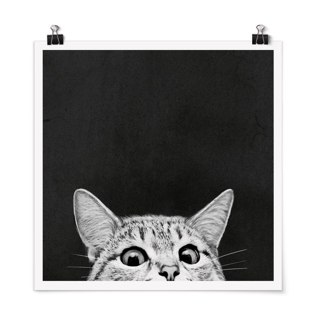 Posters svart och vitt Illustration Cat Black And White Drawing