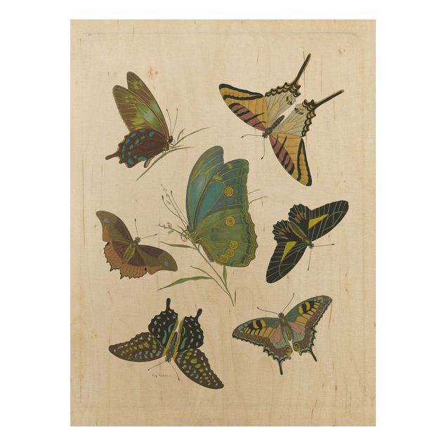Trätavlor vintage Vintage Illustration Exotic Butterflies
