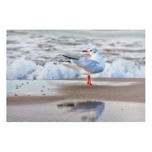 Tavlor landskap Seagull On The Beach In Front Of The Sea