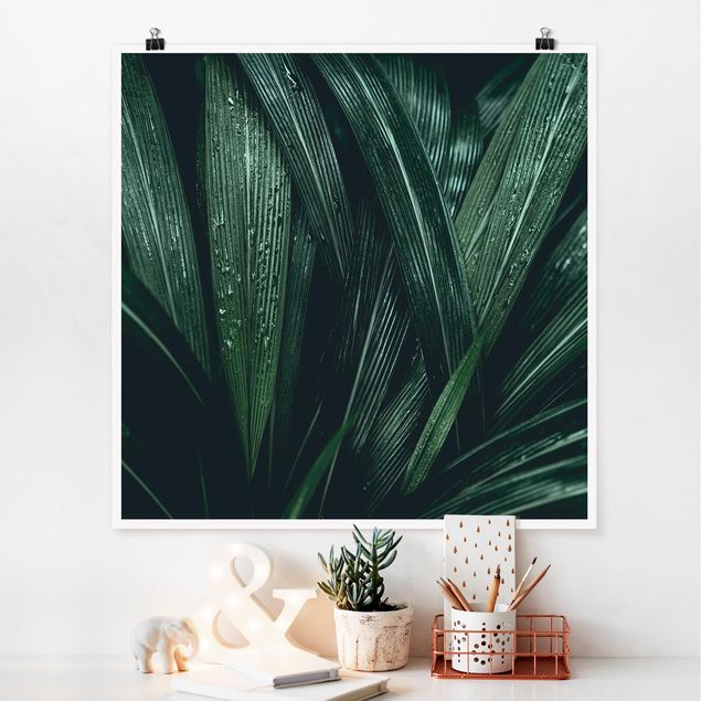 Posters blommor  Green Palm Leaves