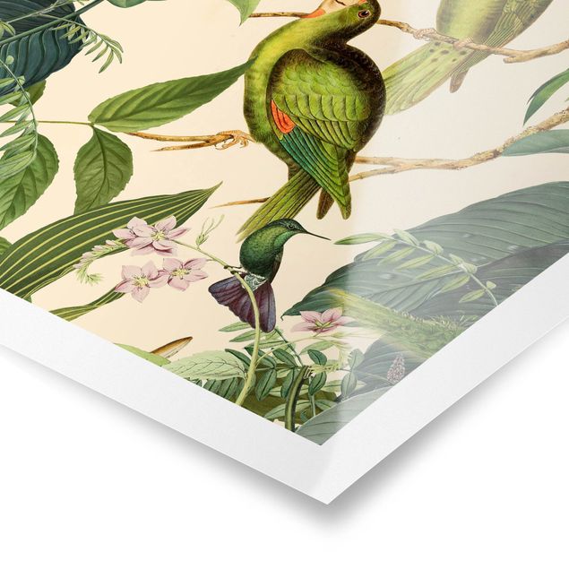 Tavlor grön Vintage Collage - Parrots In The Jungle