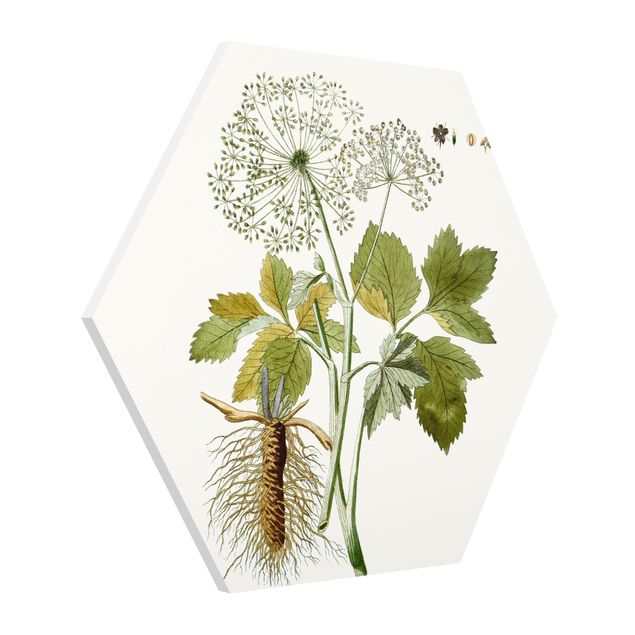 Tavlor modernt Wild Herbs Board IV