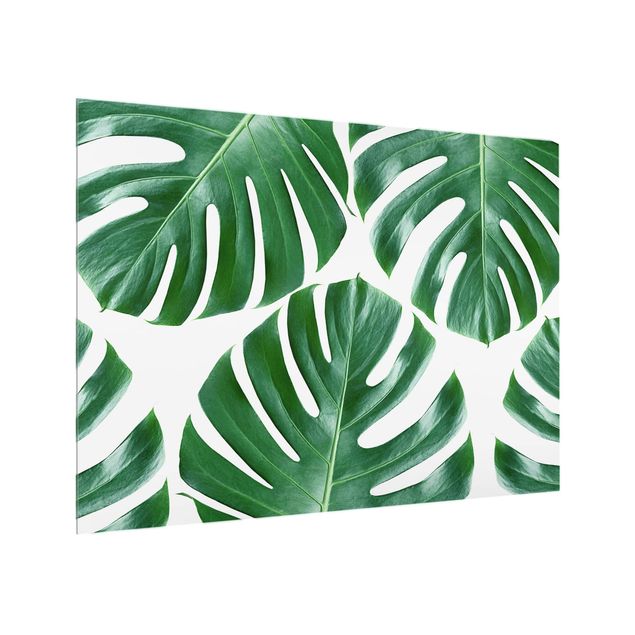 Stänkskydd kök glas mönster Tropical Green Leaves Monstera