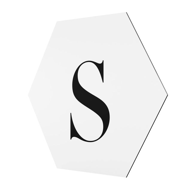 Hexagonala tavlor Letter Serif White S