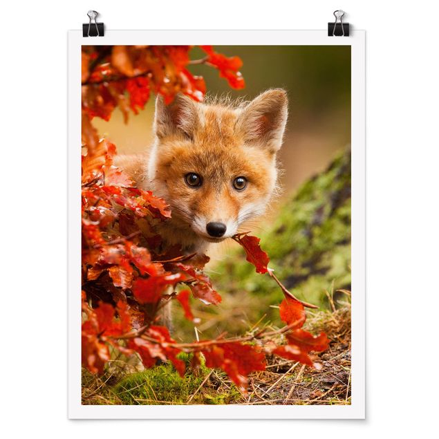 Posters blommor  Fox In Autumn