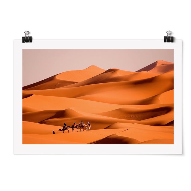 Posters djur Namib Desert