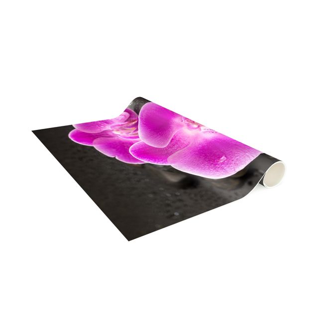 modern matta vardagsrum Pink Orchid Flower On Stones With Drops