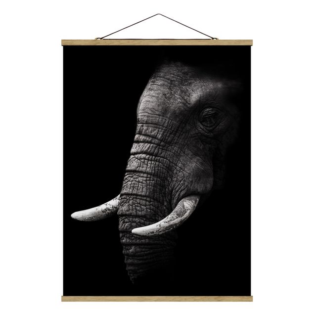 Tavlor natur Dark Elephant Portrait
