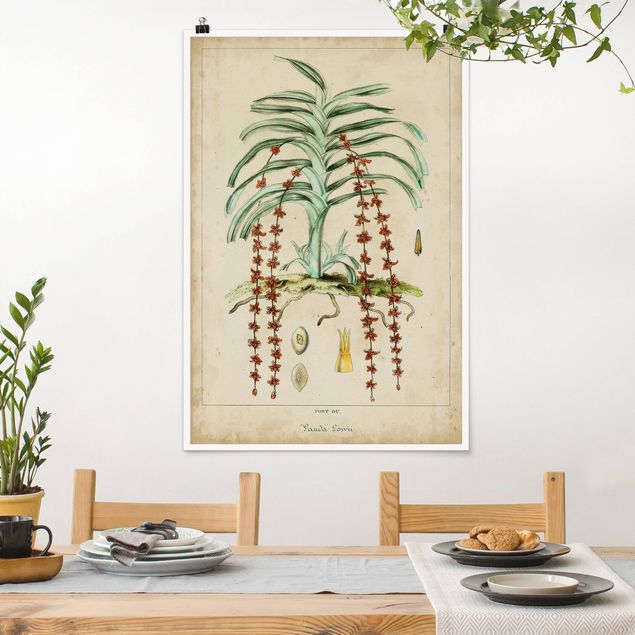 Kök dekoration Vintage Board Exotic Palms IV