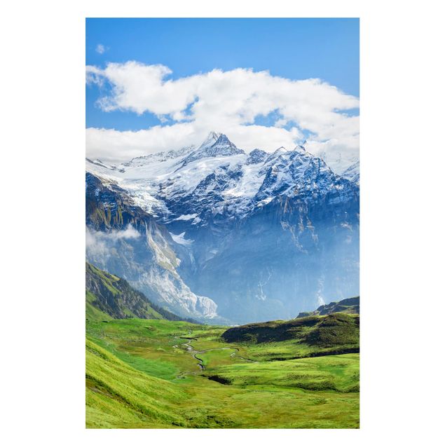 Tavlor Schweiz Swiss Alpine Panorama