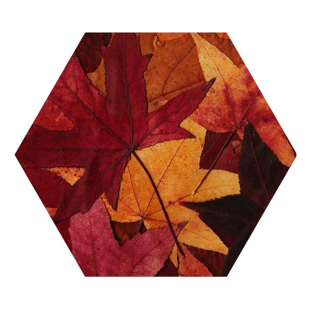 Hexagonala tavlor Coloured Leaves