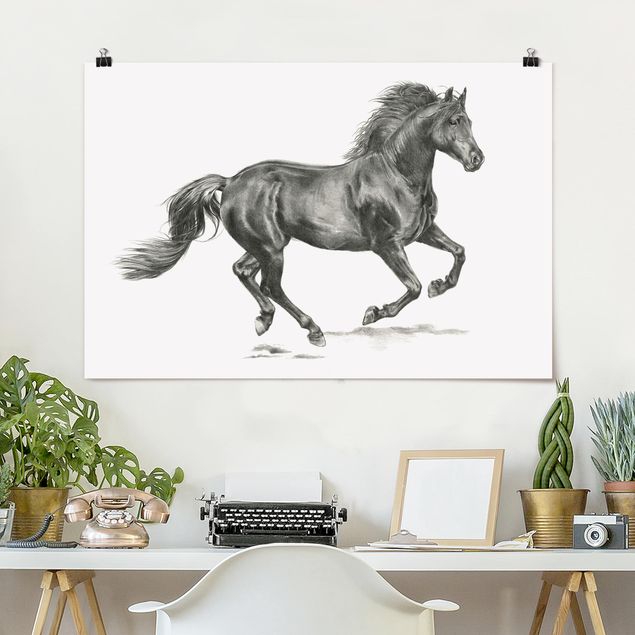 Kök dekoration Wild Horse Trial - Stallion
