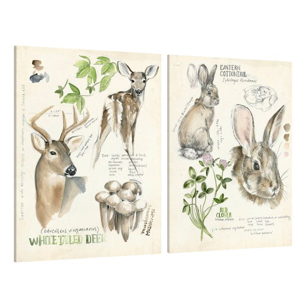 Tavlor blommor Wilderness Journal - Deer And Rabbits Set II