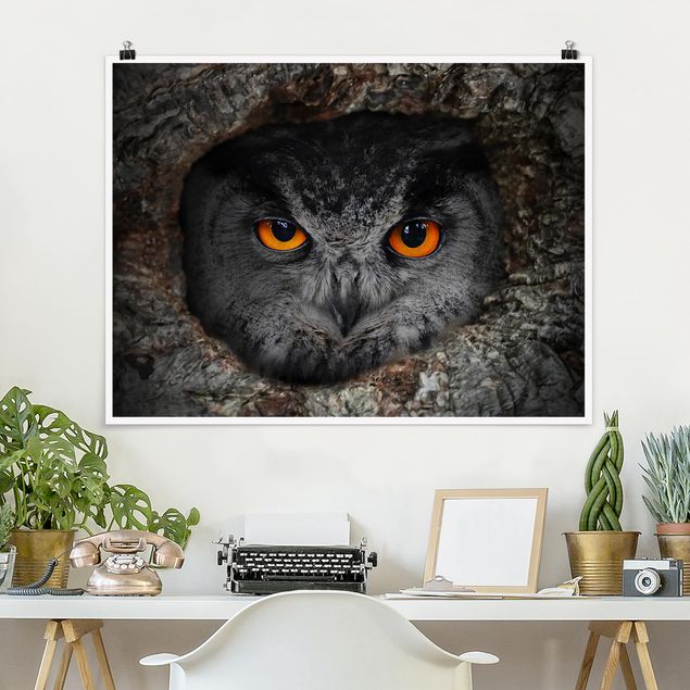 Kök dekoration Watching Owl