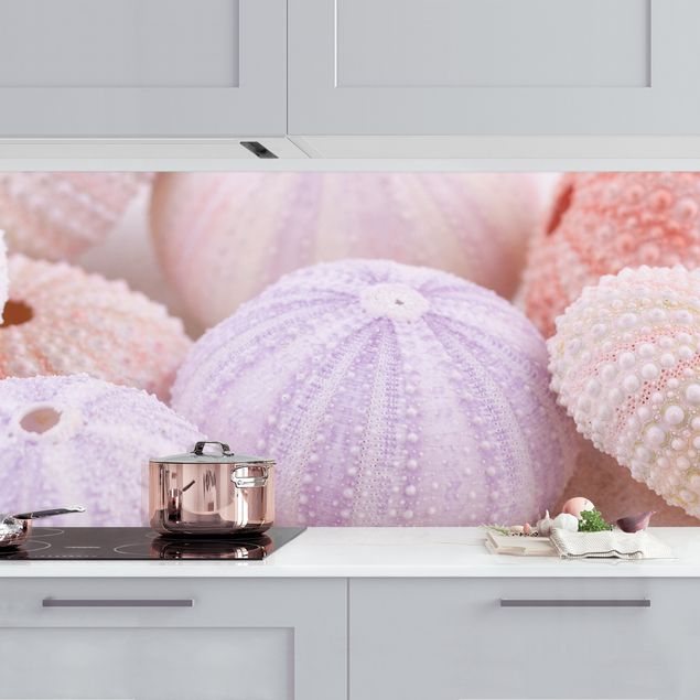 Kök dekoration Sea Urchin In Pastel