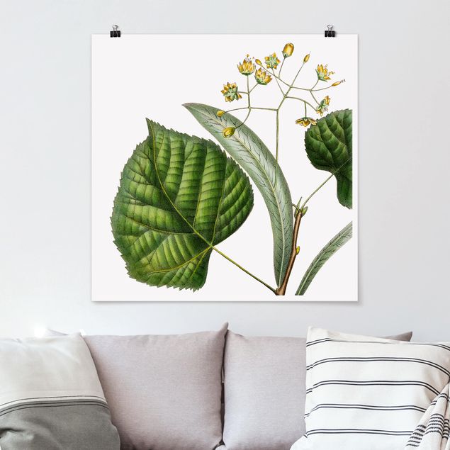 Posters blommor  Foliage With Flowers I