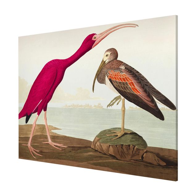 Tavlor stränder Vintage Board Red Ibis
